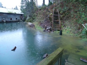 Firewood floating away