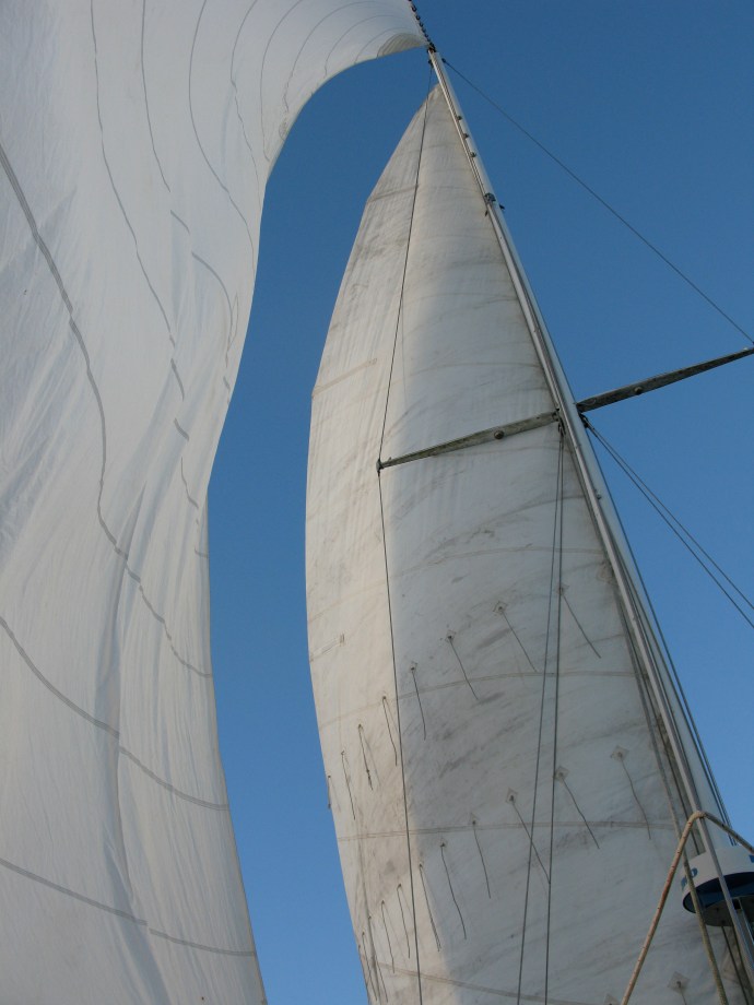 sailing Old Hand 08 002